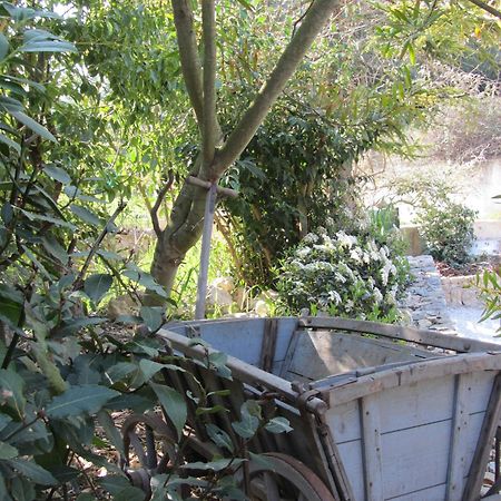 Les Rosees Mougins Exteriér fotografie